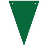 Ein lebendiges grünes Blatt mit verschiedenen Vene Wimpelkette (Erste Fahne)