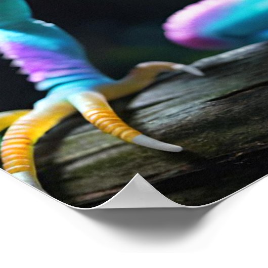 Ein lebhaft farbiges Reptil Poster (Ecke)