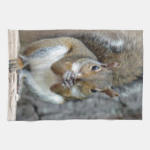 Ein Leckerei-Handtuch Geschirrtuch (Horizontal)