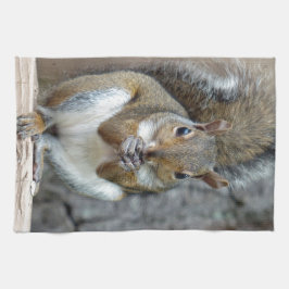 Ein Leckerei-Handtuch Geschirrtuch