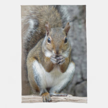 Ein Leckerei-Handtuch