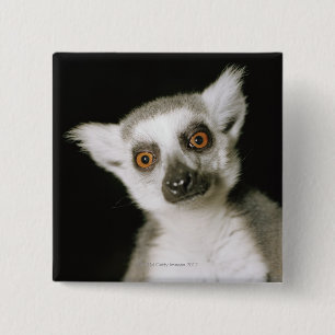 Ein Lemur. Button