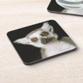 Ein Lemur. Getränkeuntersetzer (Linke Seite)