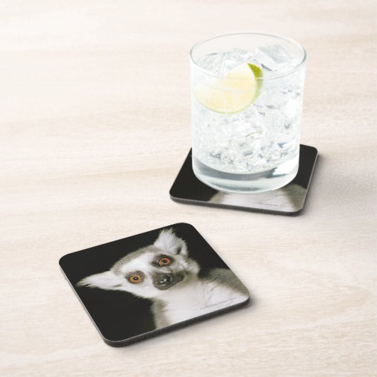 Ein Lemur. Getränkeuntersetzer (Rechte Seite)