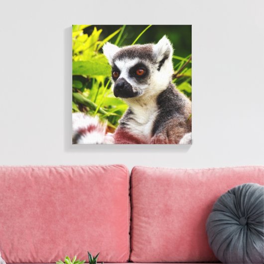 ein Lemur Madagaskar auf eingewickelten Leinwänden Leinwanddruck (Insitu (Wohnzimmer))