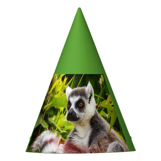 ein Lemur Madagaskars auf Party Hat Partyhütchen (Vorderseite)