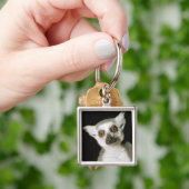 Ein Lemur. Schlüsselanhänger (Hand)