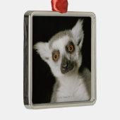 Ein Lemur. Silbernes Ornament (Rechts)