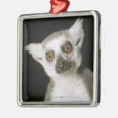 Ein Lemur. Silbernes Ornament (Links)