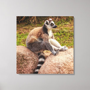 ein Lemur von Madagaskar auf gespannter Leinwand