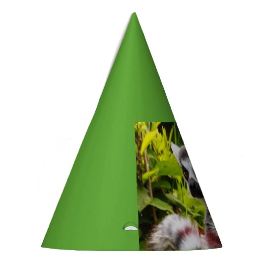 ein Lemur von Madagaskar auf Partyhut (Links)