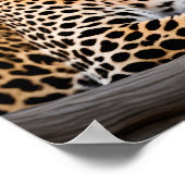 Ein Leopard-Becken in der Sonne Poster (Ecke)