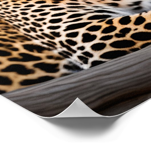 Ein Leopard-Becken in der Sonne Poster (Ecke)