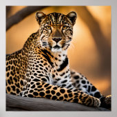Ein Leopard-Becken in der Sonne Poster (Vorne)