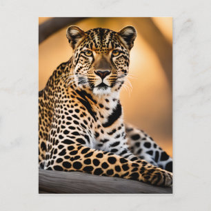 Ein Leopard-Becken in der Sonne Postkarte