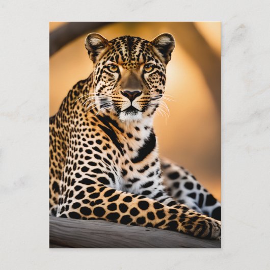 Ein Leopard-Becken in der Sonne Postkarte (Vorderseite)