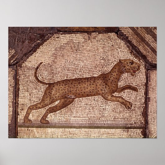 Ein Leopard Poster (Vorne)