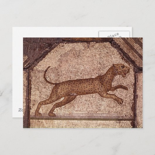 Ein Leopard Postkarte (Vorne/Hinten)