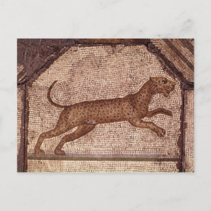 Ein Leopard Postkarte