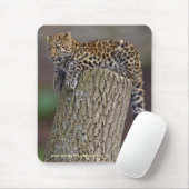 Ein Leoparden-Schwanz-Mousemat Mousepad (Mit Mouse)