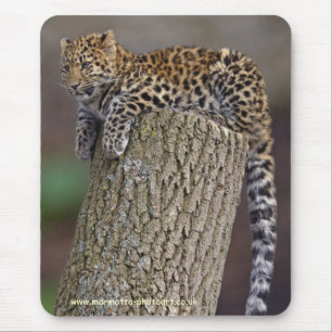 Ein Leoparden-Schwanz-Mousemat Mousepad