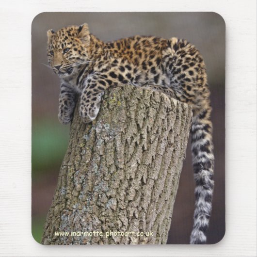 Ein Leoparden-Schwanz-Mousemat Mousepad (Vorne)