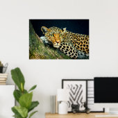 Ein Leopardenblick - NachtSky Print Poster (Heimbüro)