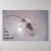 Ein letzter Aufruf Poster (Vorne)