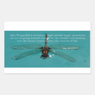 Ein Libelle-Libelle-1-Sticker Rechteckiger Aufkleber