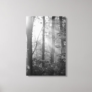 Ein Licht im Wald - Schwarz und Weiß Leinwanddruck
