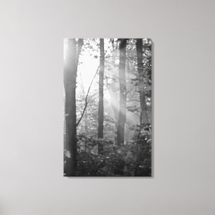 Ein Licht im Wald - Schwarz und Weiß Leinwanddruck