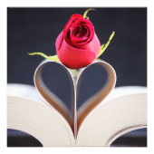 Ein Liebe-Story-Poster Fotodruck (Vorne)