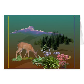 Ein liebes genanntes Pheona