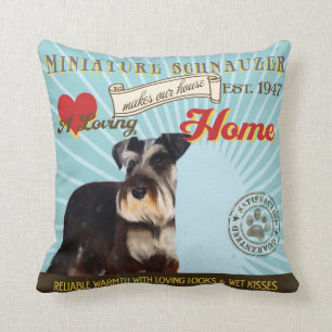 Ein liebevoller MiniaturSchnauzer macht unser Kissen