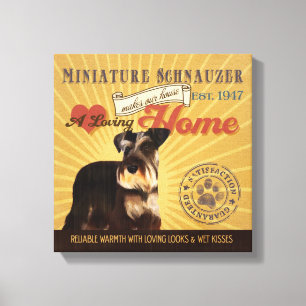 Ein liebevoller MiniaturSchnauzer macht unser Leinwanddruck