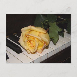 Ein Lied aus der Rose Postkarte