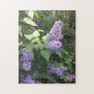 Ein Lila Lilac Jigsaw-Puzzle Puzzle
