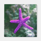 Ein Lila Rocky Beach Magnet (Vorne)