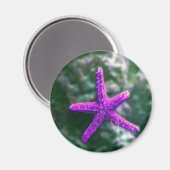 Ein Lila Rocky Beach Magnet (Vorderseite/Rückseite)