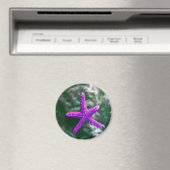 Ein Lila Rocky Beach Magnet (In Situ (Geschirrspüler))