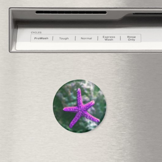 Ein Lila Rocky Beach Magnet (In Situ (Geschirrspüler))