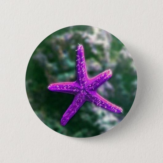 Ein Lila Starfish Button (Vorderseite)