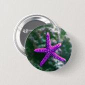 Ein Lila Starfish Button (Vorne & Hinten)