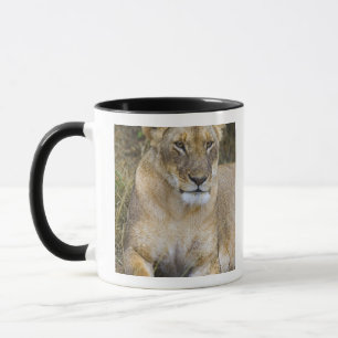 Ein Löwe sitzt im hohen Gras der Maasai Tasse