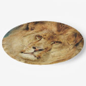Ein Löwenkopf (von Heywood Hardy) Pappteller (Schrägansicht)