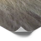 Ein Löwenstau Poster (Ecke)