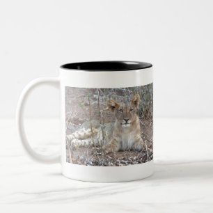Ein Löwenwürfel mit einem süßen, unschuldigen Blic Zweifarbige Tasse