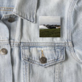 Ein Luftpolster eines Landefahrzeugs kommt an Land Button (Beispiel)