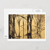 ein Lügner ist Postkarte (Vorne/Hinten)