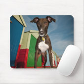 Ein Lurcher stehend vor einigen Strand-Hütten Mousepad (Mit Mouse)